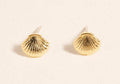 Seashell Mini Stud Earrings